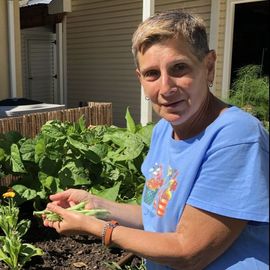 Picture of Deb in the garden picking snap peas
